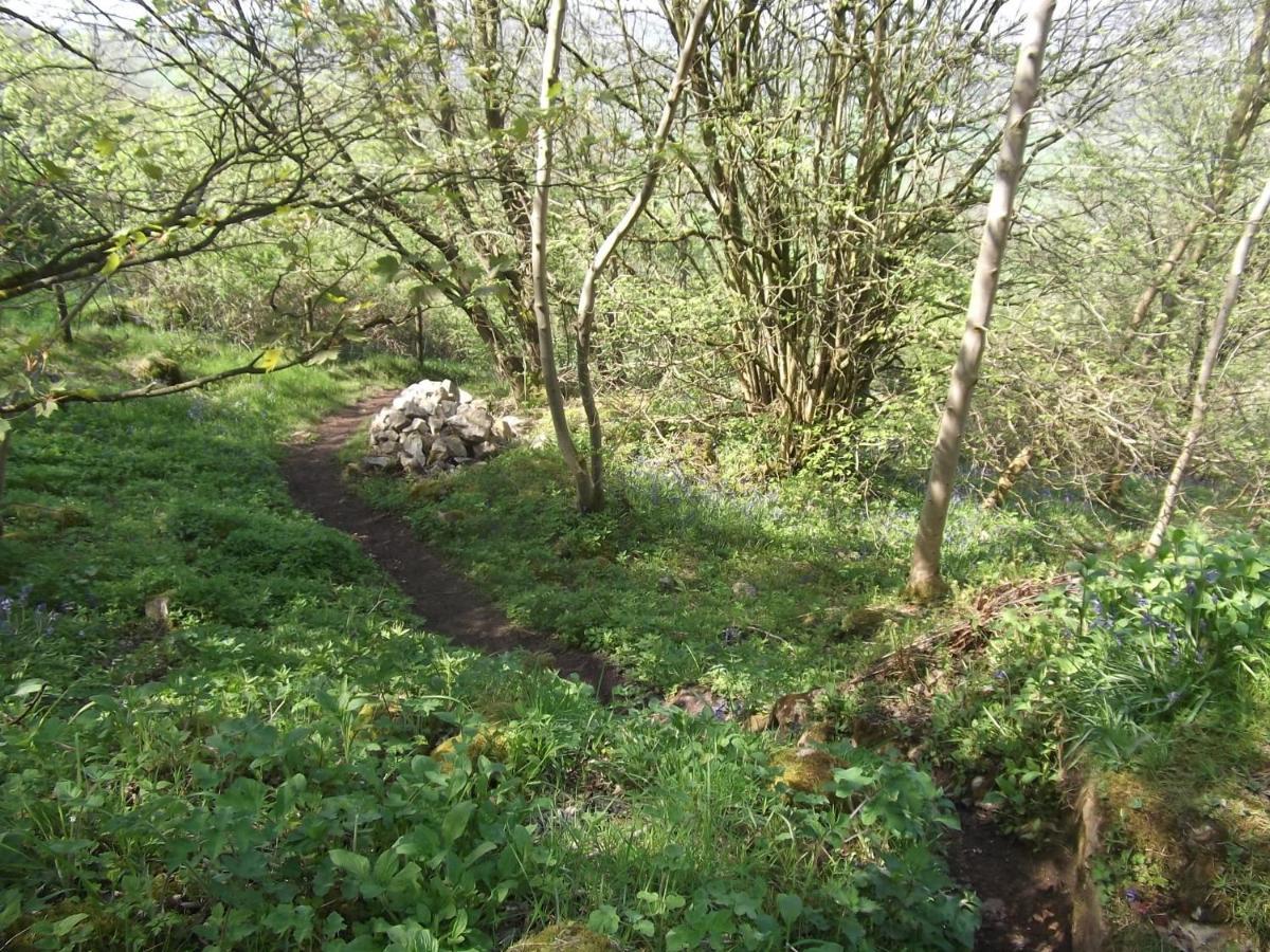 Hall Dale View Near Matlock & Peak District Dış mekan fotoğraf